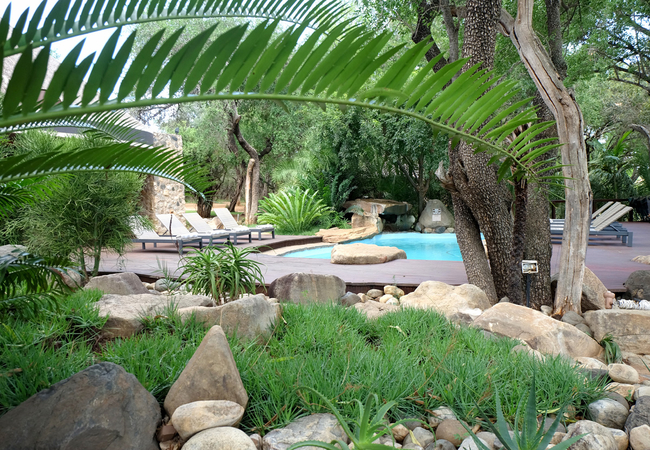 At AmaKhosi Safari Lodge