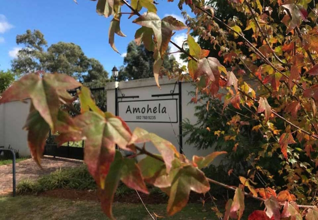 Amohela Guest House