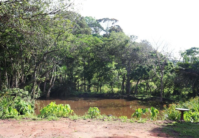 Anerley Garden Park Resort