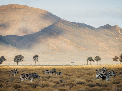 Aquila Private Game Reserve