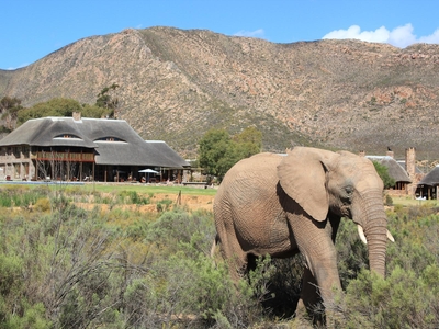Aquila Private Game Reserve