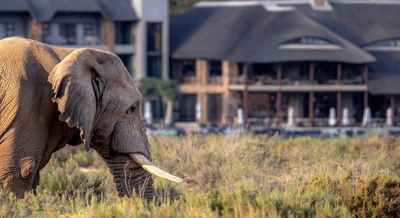 Aquila Private Game Reserve