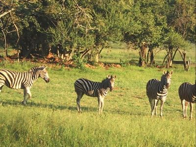 Arotin Game Lodge