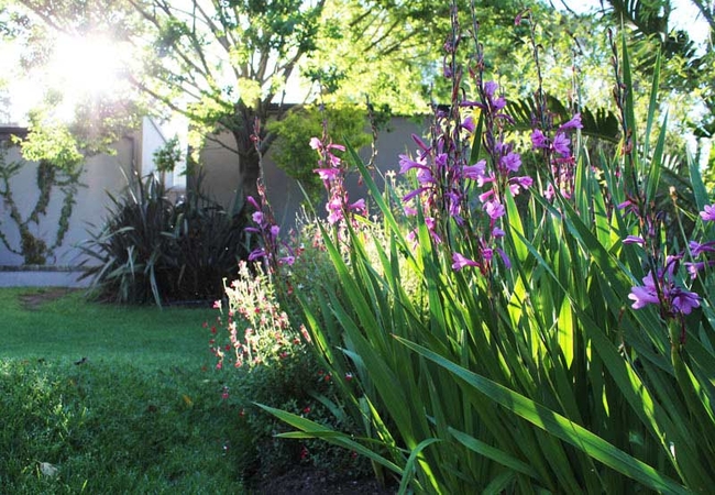 Arumvale in Swellendam