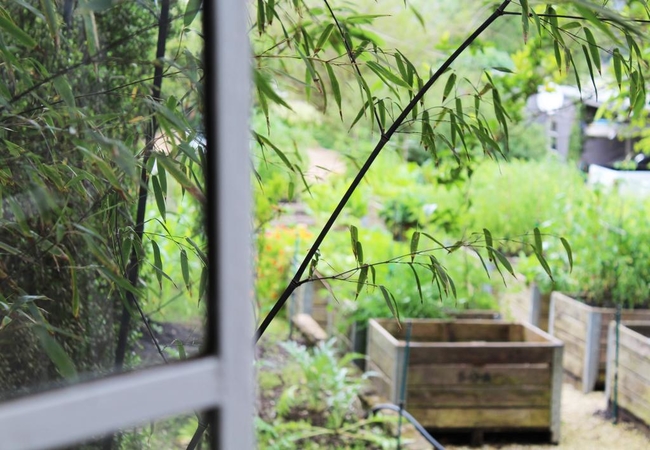 Arumvale in Swellendam