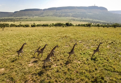 African Hills Safari Lodge