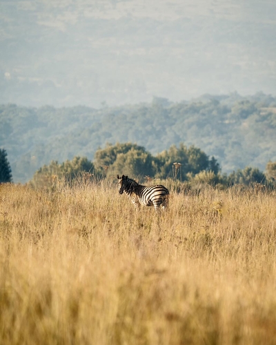 African Hills Safari Lodge