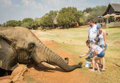 African Hills Safari Lodge