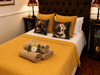 Comfort double room with shower
