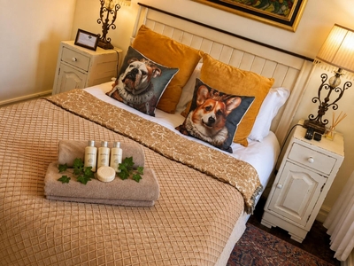 Comfort double room with shower