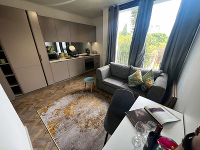 Deluxe Double Apartment 155