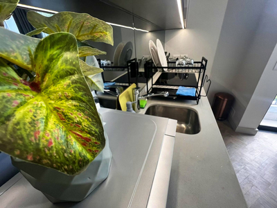 Deluxe Double Apartment 155