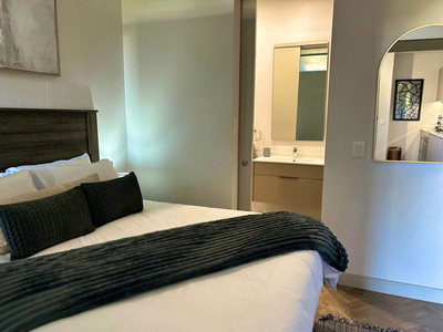 Deluxe Double Apartment 155