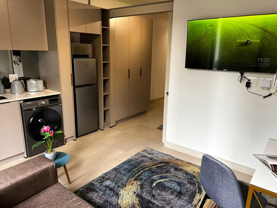 Deluxe Double Apartment 33