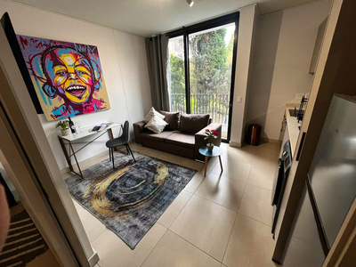 Deluxe Double Apartment 33