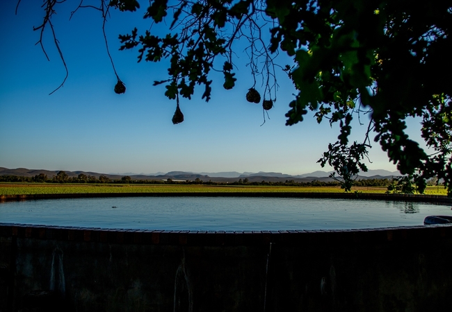 View of the Homestead