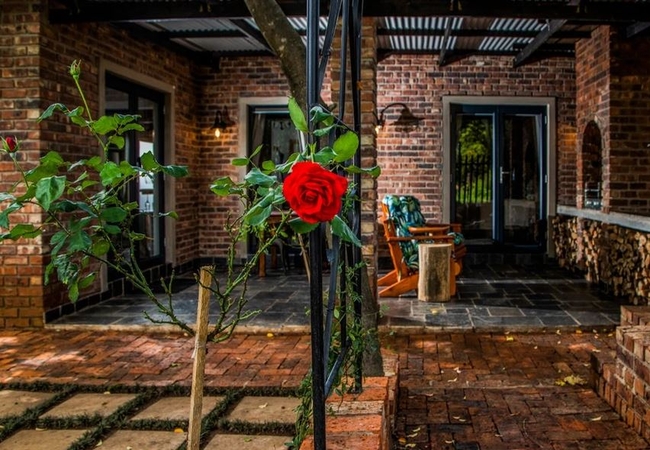 Autumn Leaf @ Tarry-Stone