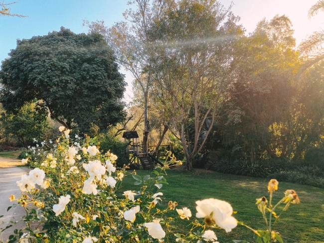 Riverfront Chalet Finfoot