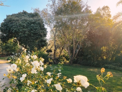 Riverfront Chalet Finfoot