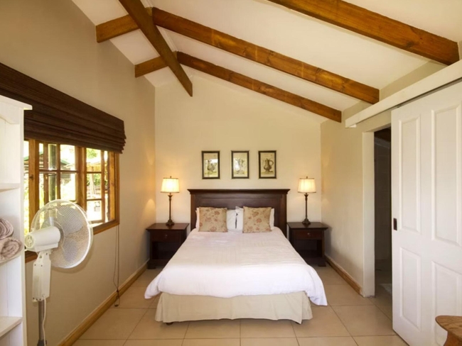 Bush Camp 2 - Oriole