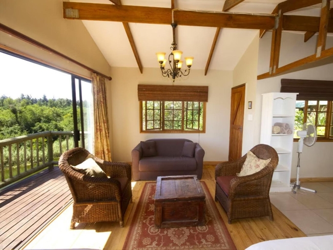 Bush Camp 2 - Oriole