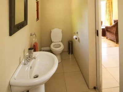 Bush Camp 2 - Oriole