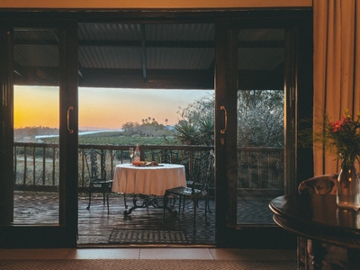 Bush Camp 3 - Gymnogene