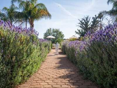 Bakenskraal Ostrich Palace