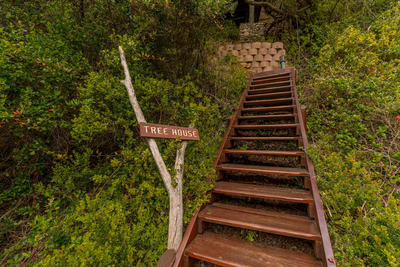 Ballots Bay Treehouse