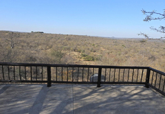 Balule Bushveld Safari Lodge