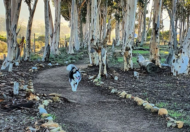 Explore Stanford