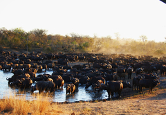 Baobab Ridge Lodge