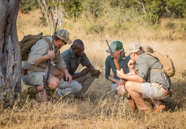 Bateleur Safari Camp