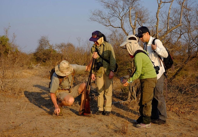 Bateleur Safari Camp
