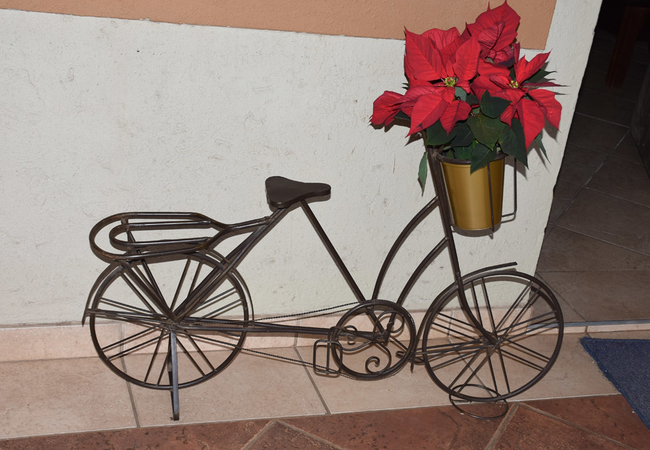 Batter Boys Guest House