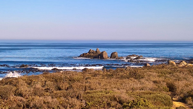View