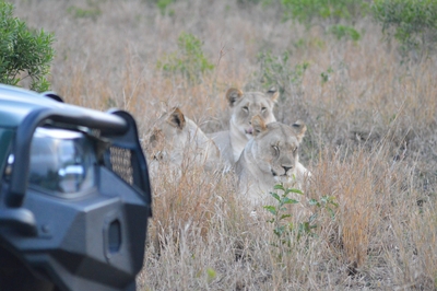 Bayala Game Lodge