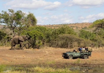 Bayala Game Lodge