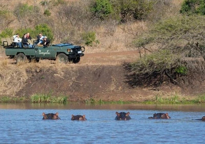 Bayala Game Lodge