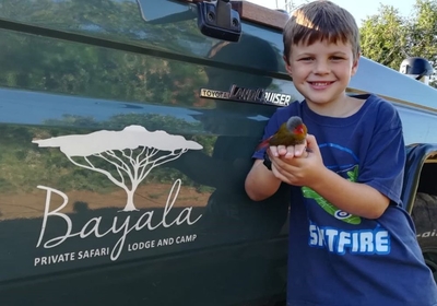Bayala Game Lodge
