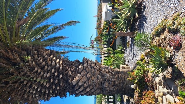 The Beach House