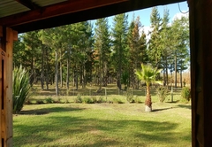 Porcupine Forest Lodge