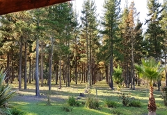 Honey Badger Forest Cottage