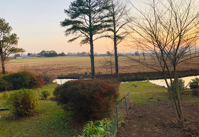 Belvidere Country Estate