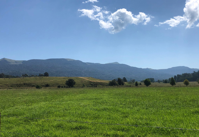 Belvidere Country Estate