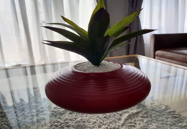 Family Room / Self-catering Unit