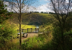 Birches Cottages