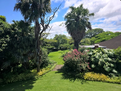 Birds of Paradise B&B
