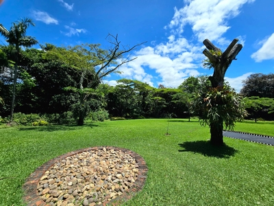 Birds of Paradise B&B