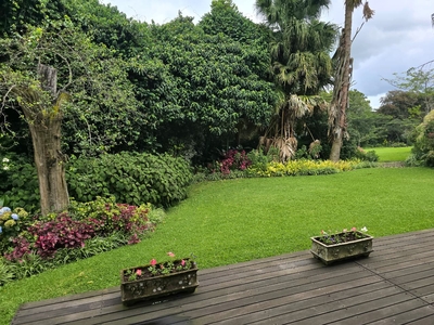 Birds of Paradise B&B